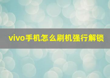 vivo手机怎么刷机强行解锁