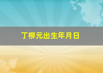 丁柳元出生年月日