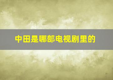 中田是哪部电视剧里的