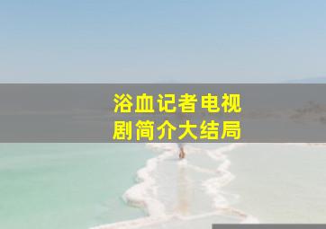 浴血记者电视剧简介大结局