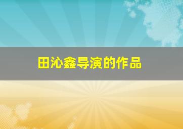 田沁鑫导演的作品