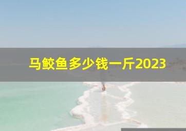 马鲛鱼多少钱一斤2023