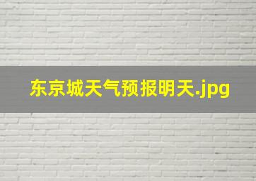 东京城天气预报明天