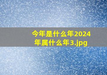 今年是什么年2024年属什么年_3