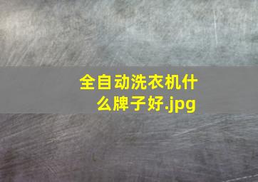 全自动洗衣机什么牌子好