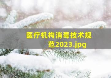 医疗机构消毒技术规范2023