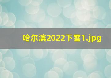 哈尔滨2022下雪_1