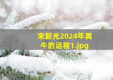 宋韶光2024年属牛的运程_1