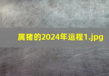 属猪的2024年运程_1