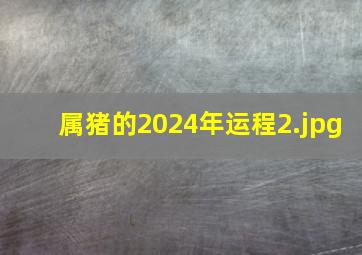 属猪的2024年运程_2