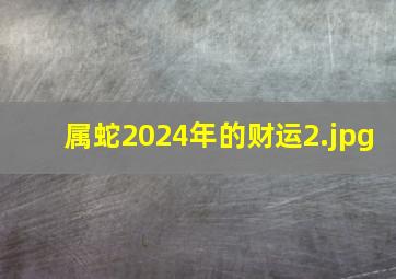 属蛇2024年的财运_2