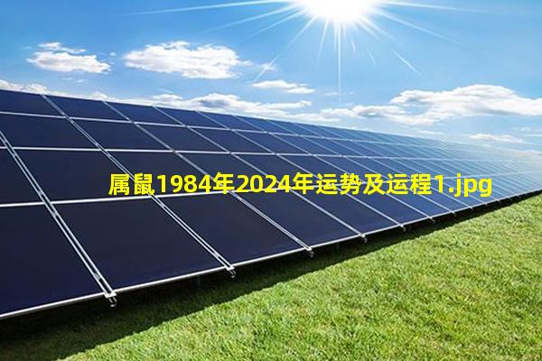 属鼠1984年2024年运势及运程_1