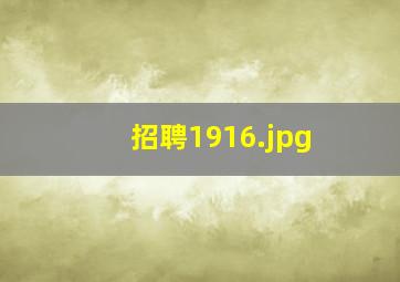 招聘1916