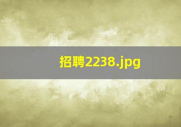 招聘2238