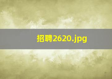 招聘2620