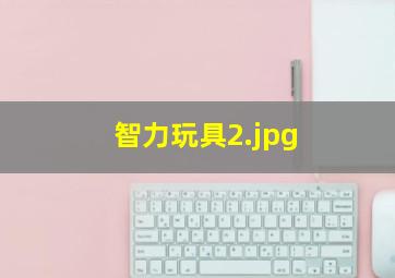 智力玩具_2