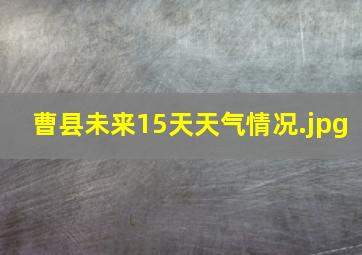 曹县未来15天天气情况