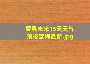 曹县未来15天天气预报查询最新