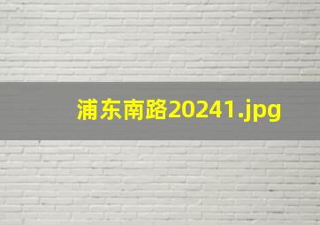 浦东南路2024_1