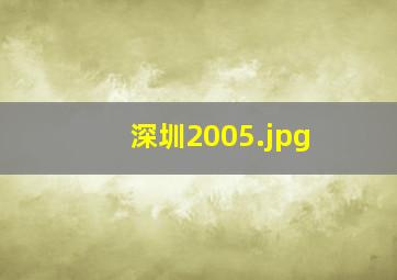 深圳2005