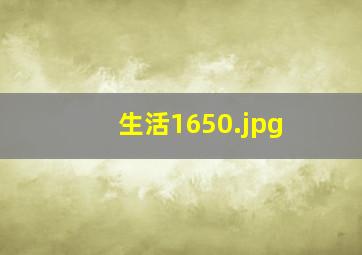 生活1650