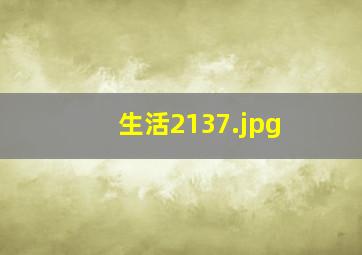 生活2137