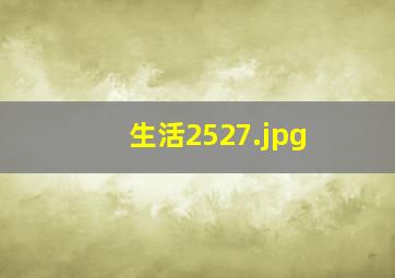 生活2527