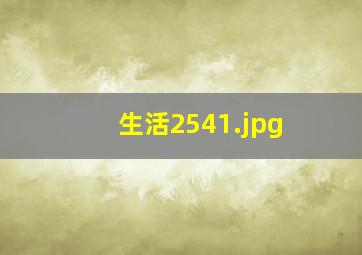 生活2541