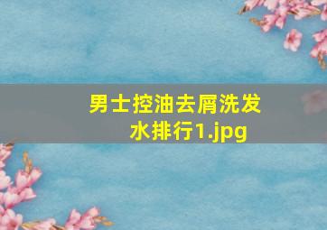 男士控油去屑洗发水排行_1