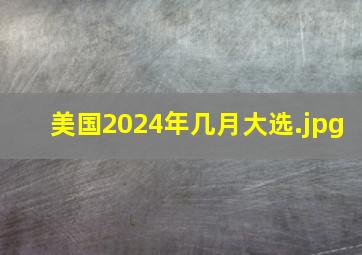 美国2024年几月大选