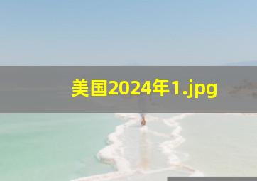 美国2024年_1