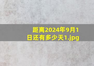 距离2024年9月1日还有多少天_1