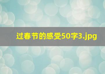 过春节的感受50字_3