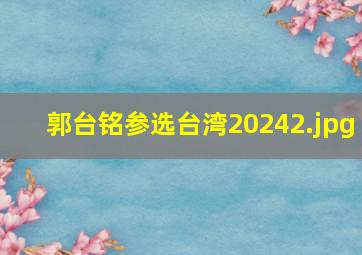 郭台铭参选台湾2024_2