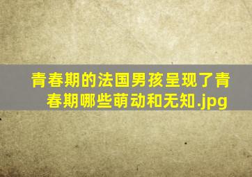 青春期的法国男孩呈现了青春期哪些萌动和无知