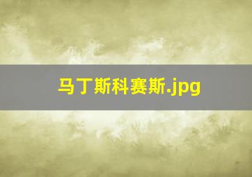 马丁斯科赛斯