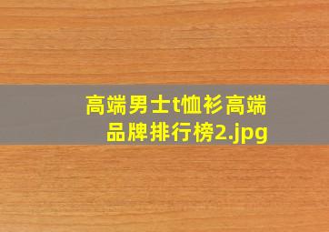 高端男士t恤衫高端品牌排行榜_2