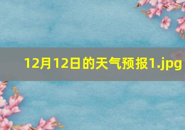 12月12日的天气预报_1