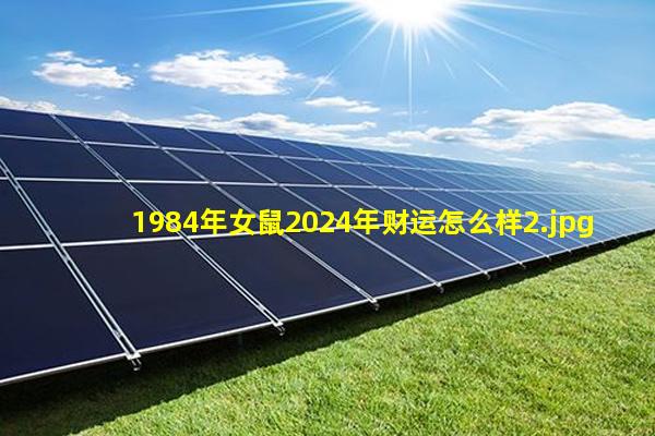 1984年女鼠2024年财运怎么样_2