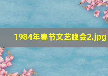 1984年春节文艺晚会_2