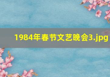 1984年春节文艺晚会_3