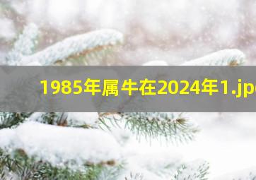 1985年属牛在2024年_1