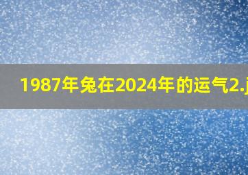 1987年兔在2024年的运气_2