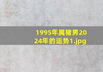 1995年属猪男2024年的运势_1