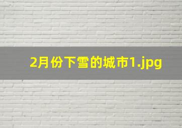 2月份下雪的城市_1