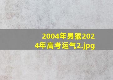 2004年男猴2024年高考运气_2