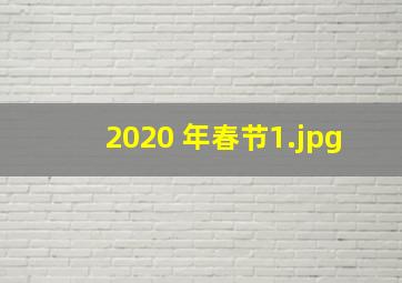 2020 年春节_1