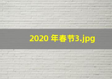 2020 年春节_3