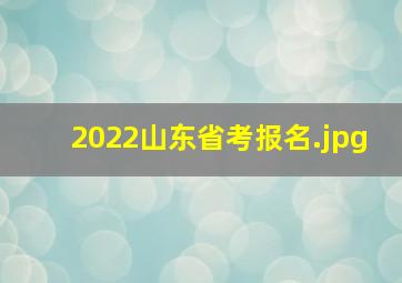 2022山东省考报名