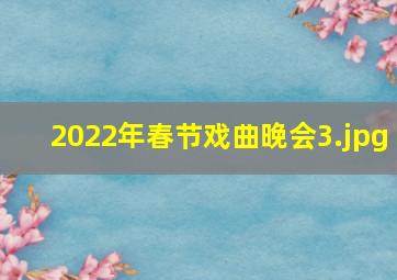 2022年春节戏曲晚会_3